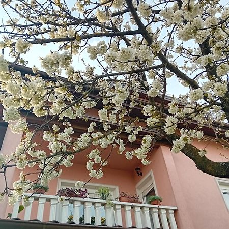 Apartman Nada Krapina Εξωτερικό φωτογραφία
