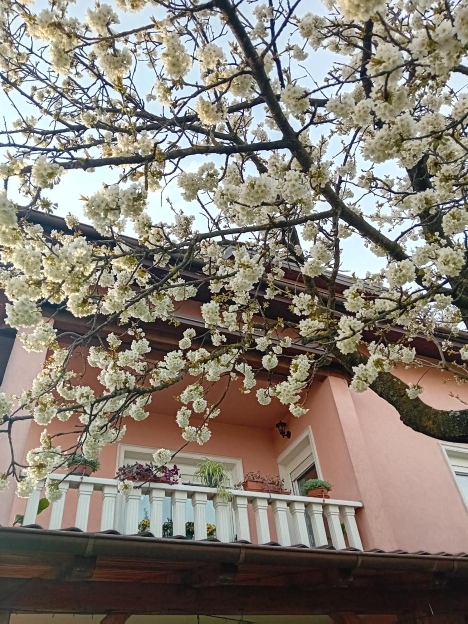 Apartman Nada Krapina Εξωτερικό φωτογραφία
